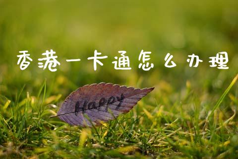 香港一卡通怎么办理_https://www.qmgjg.com_恒生指数期货_第1张