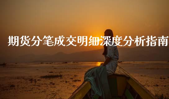 期货分笔成交明细深度分析指南_https://www.qmgjg.com_恒生指数是什么_第1张