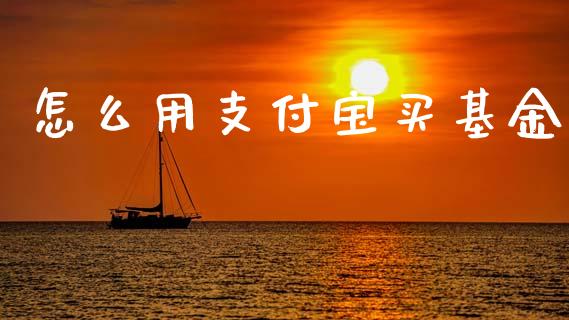怎么用支付宝买基金_https://www.qmgjg.com_香港恒生指数_第1张