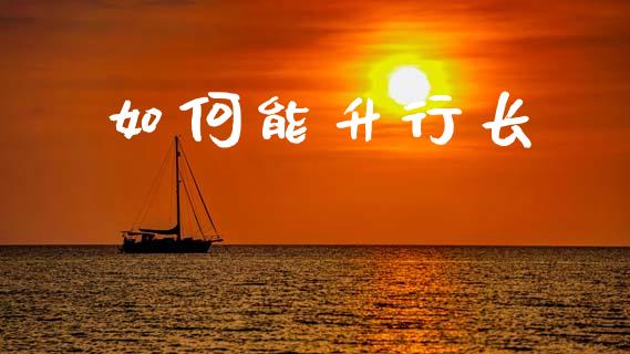 如何能升行长_https://www.qmgjg.com_恒生指数期货_第1张