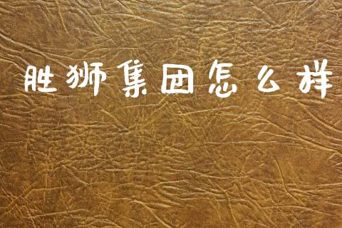 胜狮集团怎么样_https://www.qmgjg.com_恒生指数是什么_第1张