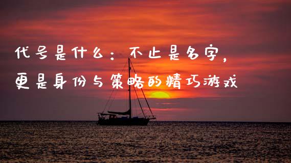 代号是什么：不止是名字，更是身份与策略的精巧游戏_https://www.qmgjg.com_恒生指数期货_第1张