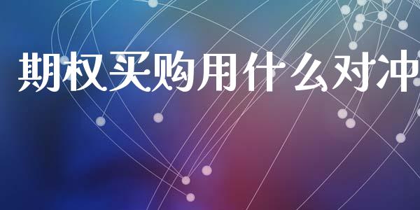 期权买购用什么对冲_https://www.qmgjg.com_恒生指数是什么_第1张