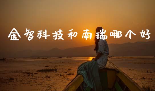 金智科技和南瑞哪个好_https://www.qmgjg.com_香港恒生指数_第1张