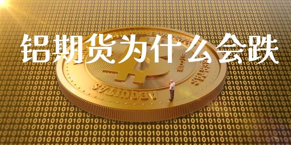 铝期货为什么会跌_https://www.qmgjg.com_恒生指数期货_第1张