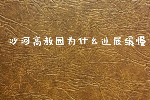 沙河高教园为什么进展缓慢_https://www.qmgjg.com_香港恒生指数_第1张