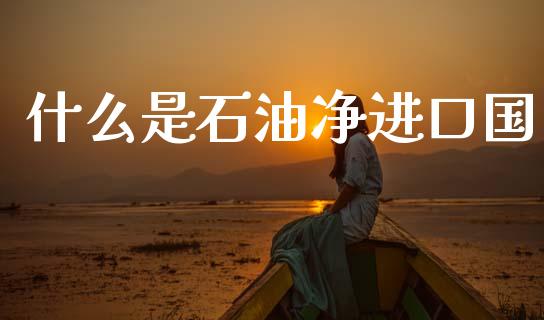 什么是石油净进口国_https://www.qmgjg.com_香港恒生指数_第1张
