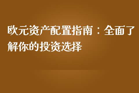 欧元资产配置指南:全面了解你的投资选择_港股恒生指数_第1张_香港恒生指数_恒生指数期货_港股恒生指数_恒生指数是什么 欧元资产配置指南:全面了解你的投资选择_https://www.qmgjg.com_港股恒生指数_第1张
