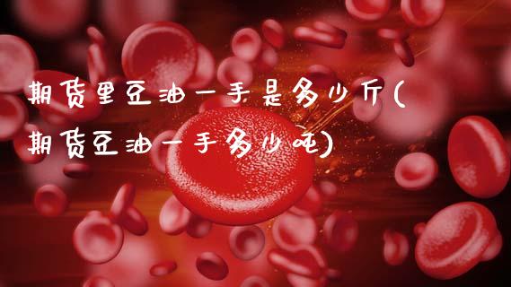期货里豆油一手是多少斤(期货豆油一手多少吨)_https://www.qmgjg.com_恒生指数期货_第1张