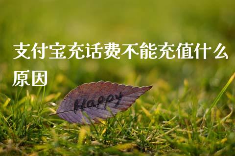 支付宝充话费不能充值什么原因_https://www.qmgjg.com_香港恒生指数_第1张