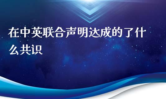 在中英联合声明达成的了什么共识_https://www.qmgjg.com_港股恒生指数_第1张