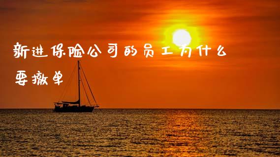 新进保险公司的员工为什么要撤单_https://www.qmgjg.com_恒生指数是什么_第1张