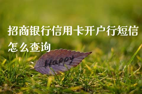 招商银行信用卡开户行短信怎么查询_https://www.qmgjg.com_港股恒生指数_第1张