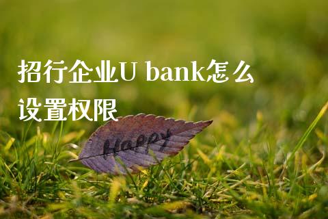 招行企业U bank怎么设置权限_https://www.qmgjg.com_香港恒生指数_第1张