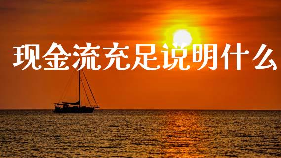 现金流充足说明什么_https://www.qmgjg.com_港股恒生指数_第1张