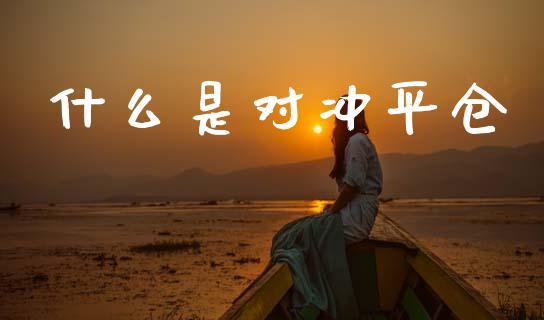 什么是对冲平仓_https://www.qmgjg.com_恒生指数是什么_第1张