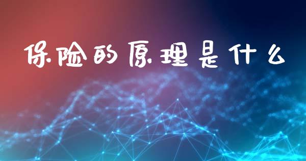 保险的原理是什么_https://www.qmgjg.com_港股恒生指数_第1张