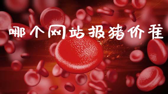 哪个网站报猪价准_https://www.qmgjg.com_港股恒生指数_第1张