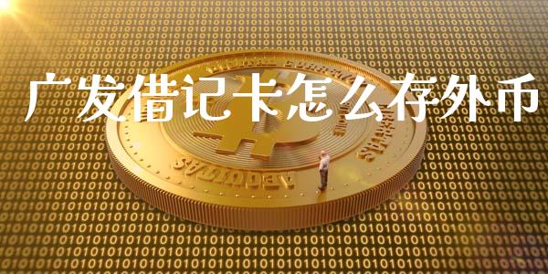 广发借记卡怎么存外币_https://www.qmgjg.com_恒生指数是什么_第1张