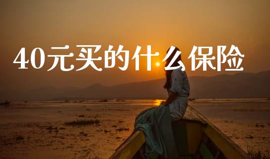 40元买的什么保险_https://www.qmgjg.com_港股恒生指数_第1张
