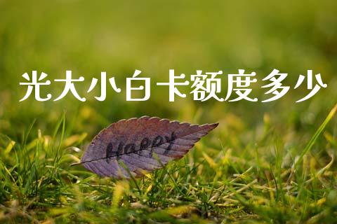 光大小白卡额度多少_https://www.qmgjg.com_港股恒生指数_第1张