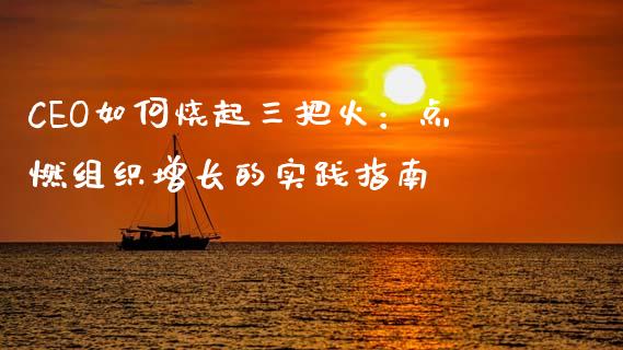 CEO如何烧起三把火：点燃组织增长的实践指南_https://www.qmgjg.com_恒生指数期货_第1张
