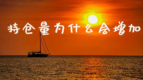 持仓量为什么会增加_https://www.qmgjg.com_港股恒生指数_第1张