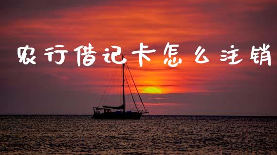 农行借记卡怎么注销_https://www.qmgjg.com_恒生指数是什么_第1张
