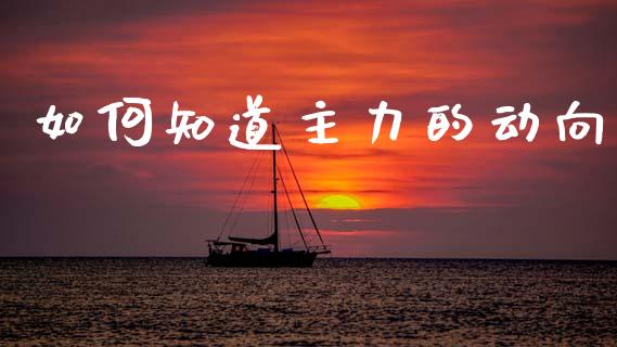 如何知道主力的动向_https://www.qmgjg.com_恒生指数是什么_第1张