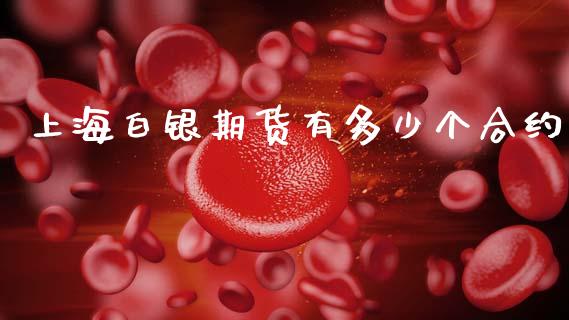 上海白银期货有多少个合约_https://www.qmgjg.com_香港恒生指数_第1张