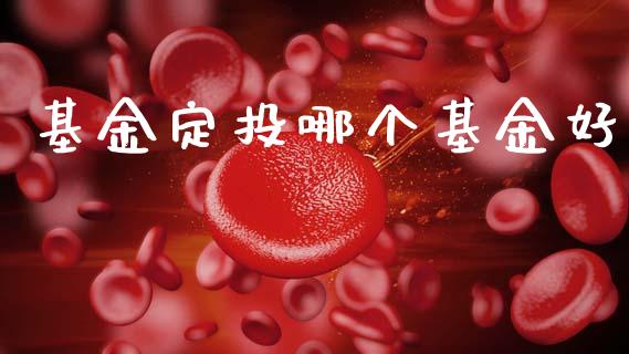 基金定投哪个基金好_https://www.qmgjg.com_香港恒生指数_第1张