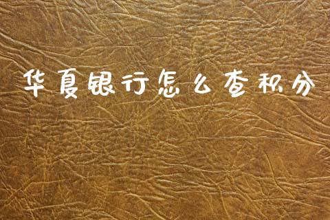 华夏银行怎么查积分_https://www.qmgjg.com_恒生指数期货_第1张