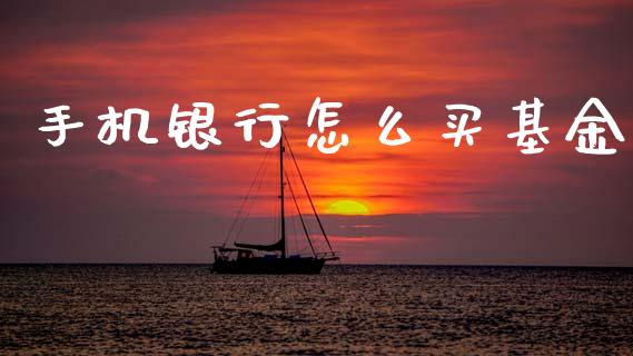手机银行怎么买基金_https://www.qmgjg.com_香港恒生指数_第1张