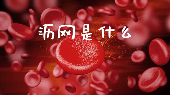 沥网是什么_港股恒生指数_第1张_香港恒生指数_恒生指数期货_港股恒生指数_恒生指数是什么 沥网是什么_https://www.qmgjg.com_港股恒生指数_第1张