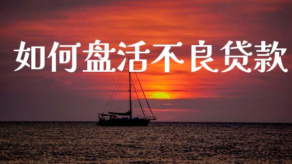 如何盘活不良贷款_https://www.qmgjg.com_恒生指数期货_第1张