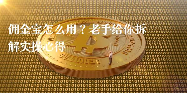 佣金宝怎么用？老手给你拆解实操心得_https://www.qmgjg.com_恒生指数期货_第1张