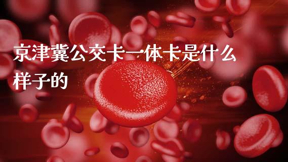 京津冀公交卡一体卡是什么样子的_https://www.qmgjg.com_恒生指数期货_第1张