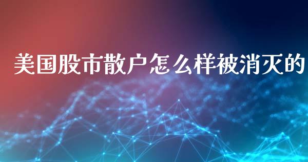 美国股市散户怎么样被消灭的_https://www.qmgjg.com_恒生指数是什么_第1张