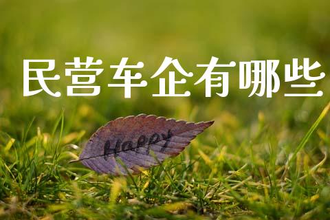 民营车企有哪些_https://www.qmgjg.com_恒生指数期货_第1张