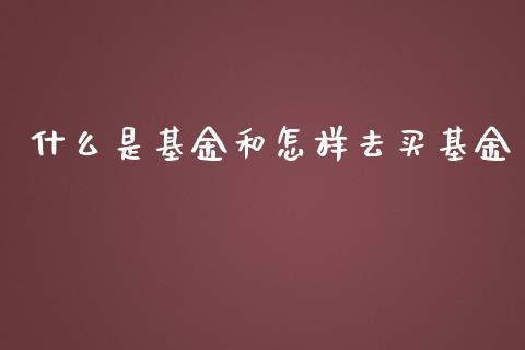 什么是基金和怎样去买基金_https://www.qmgjg.com_港股恒生指数_第1张