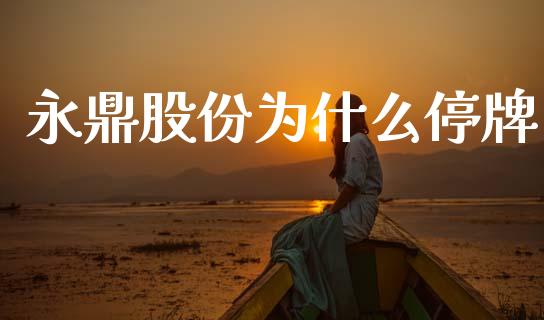 永鼎股份为什么停牌_https://www.qmgjg.com_恒生指数是什么_第1张