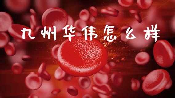 九州华伟怎么样_https://www.qmgjg.com_恒生指数期货_第1张