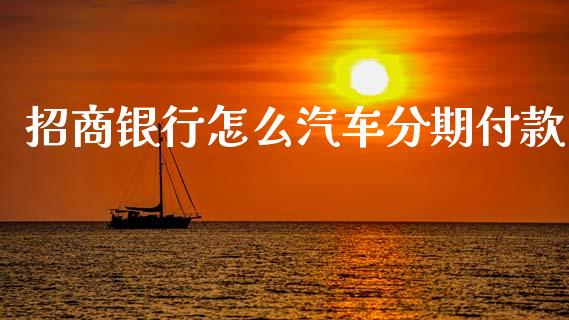 招商银行怎么汽车分期付款_https://www.qmgjg.com_恒生指数期货_第1张