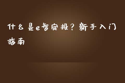 什么是e智定投？新手入门指南_https://www.qmgjg.com_香港恒生指数_第1张