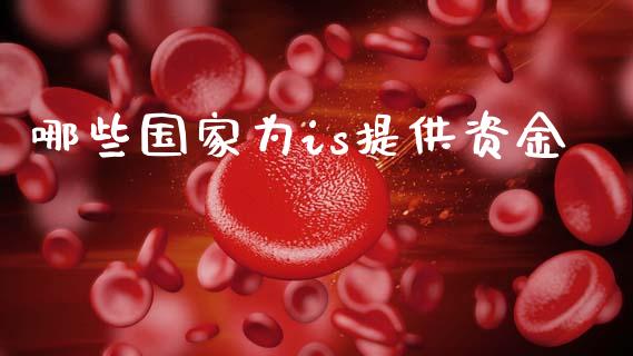 哪些国家为is提供资金_https://www.qmgjg.com_港股恒生指数_第1张