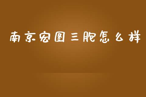 南京宏图三胞怎么样_https://www.qmgjg.com_恒生指数期货_第1张