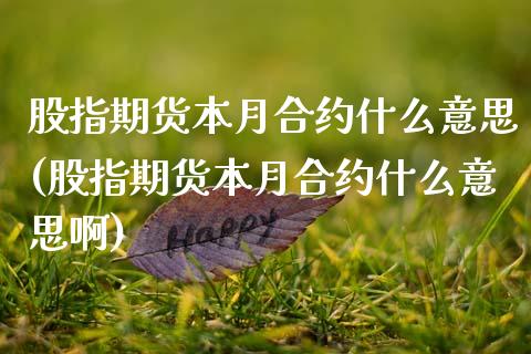 股指期货本月合约什么意思(股指期货本月合约什么意思啊)_https://www.qmgjg.com_港股恒生指数_第1张