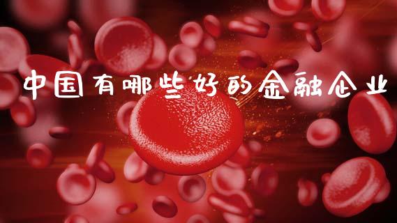 中国有哪些好的金融企业_https://www.qmgjg.com_港股恒生指数_第1张