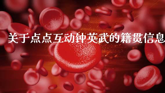 关于点点互动钟英武的籍贯信息_https://www.qmgjg.com_恒生指数期货_第1张