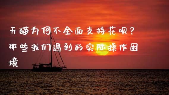 天猫为何不全面支持花呗？那些我们遇到的实际操作困境_https://www.qmgjg.com_恒生指数期货_第1张